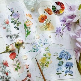 Vintage Botanical Postcards